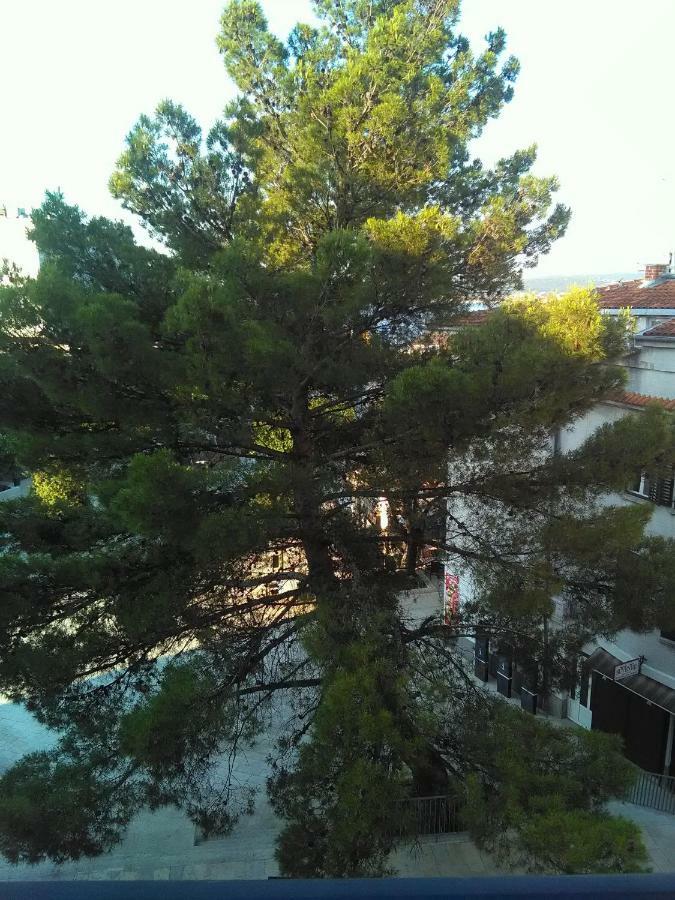 Apartment Sandra 2+2 *** Crikvenica Exteriér fotografie